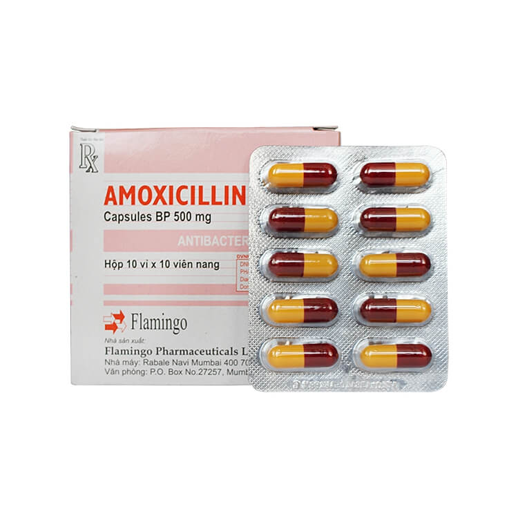 Amoxicillin 500mg Flamingo