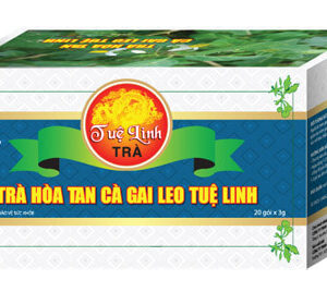 Trà cà gai leo Tuệ Linh
