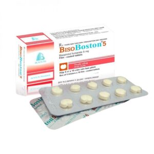 BisoBoston 5