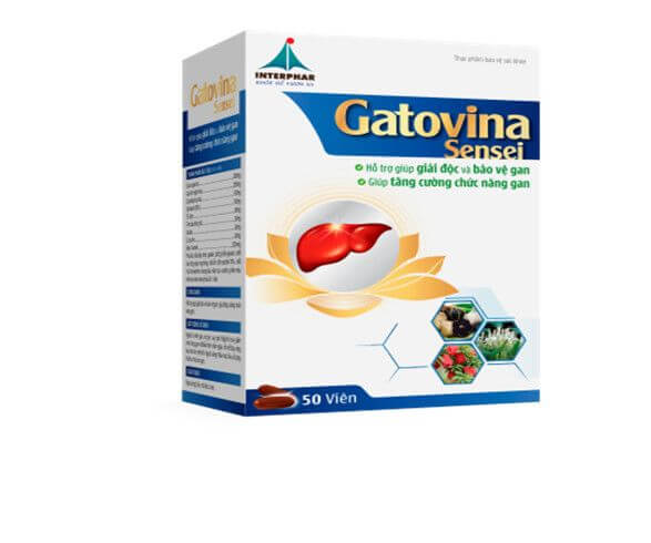 Gatovina Sensei bổ gan