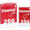 Clamoxyl 250mg- thuốc kháng sinh dùng cho trẻ sơ sinh