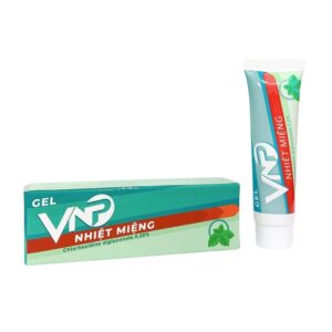 vnp nhiệt miệng 10g