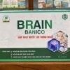 Brain Banico