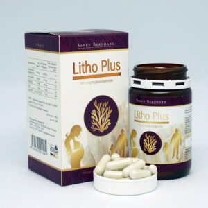 Litho Plus