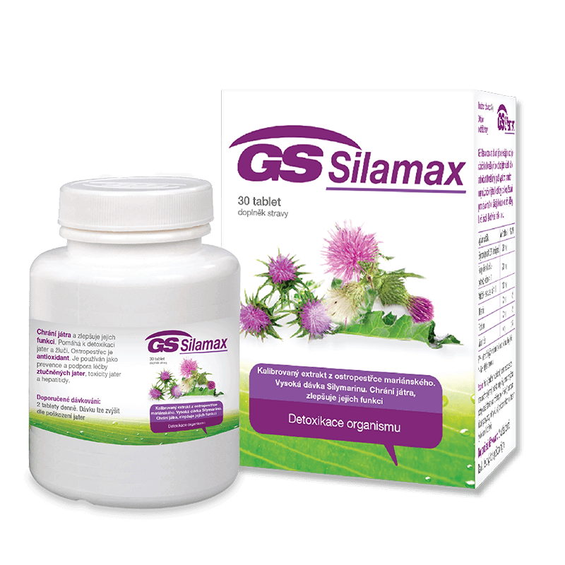 GS Silamax