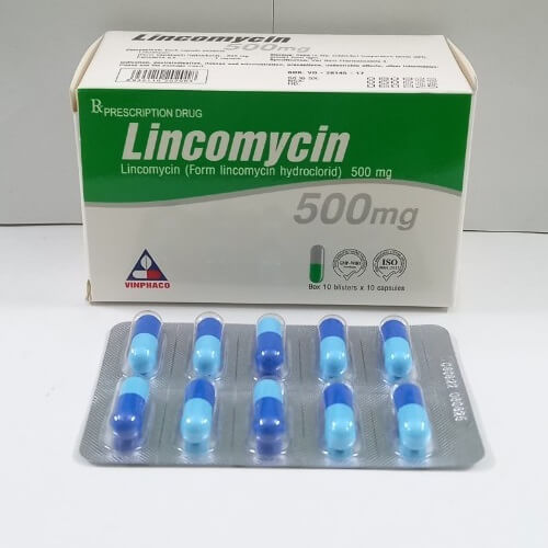 Lincomycin 500mg Vĩnh Phúc hộp 20 vỉ