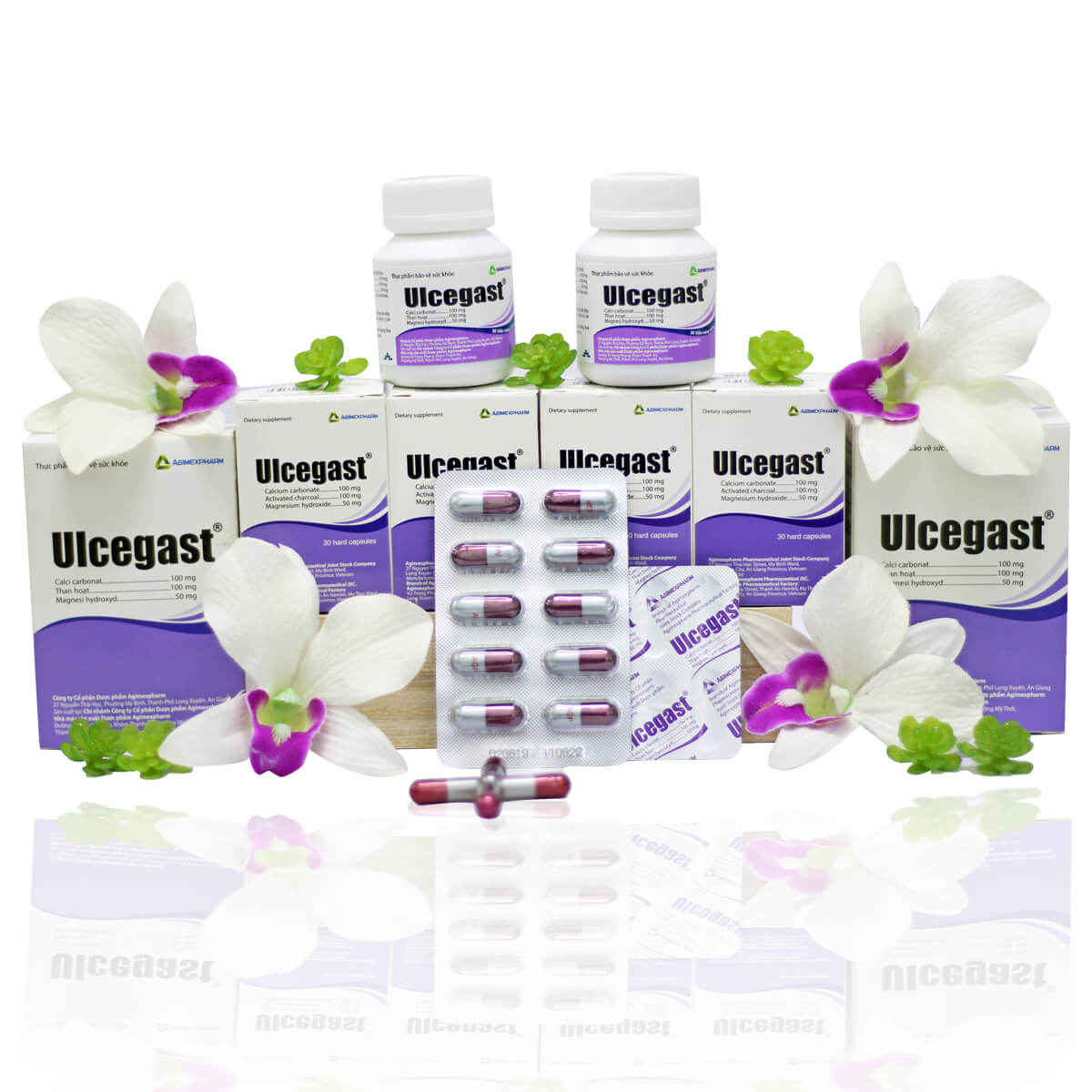 Ulcegast