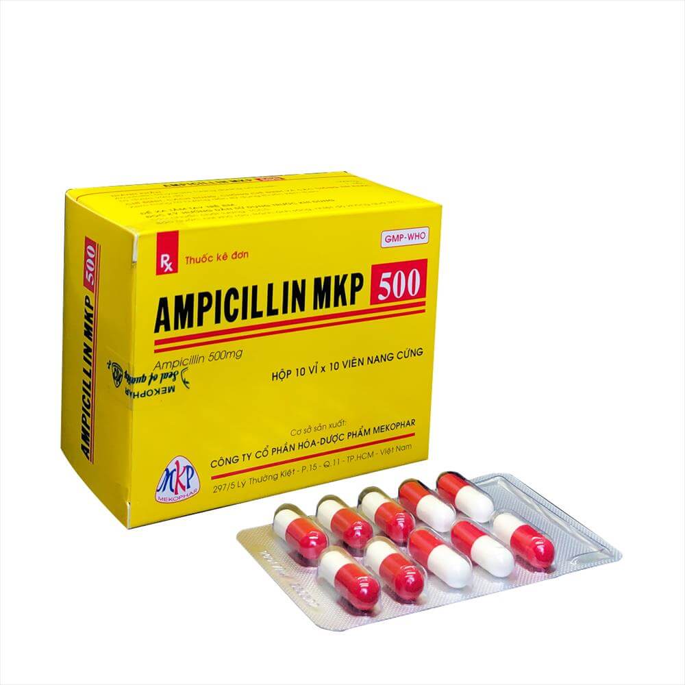 ampicillin 500mg mekophar