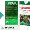Cà Gai Leo Tuệ Linh