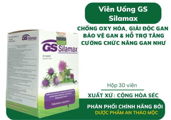 GS Silamax