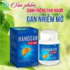 Hamogan Tuệ Linh