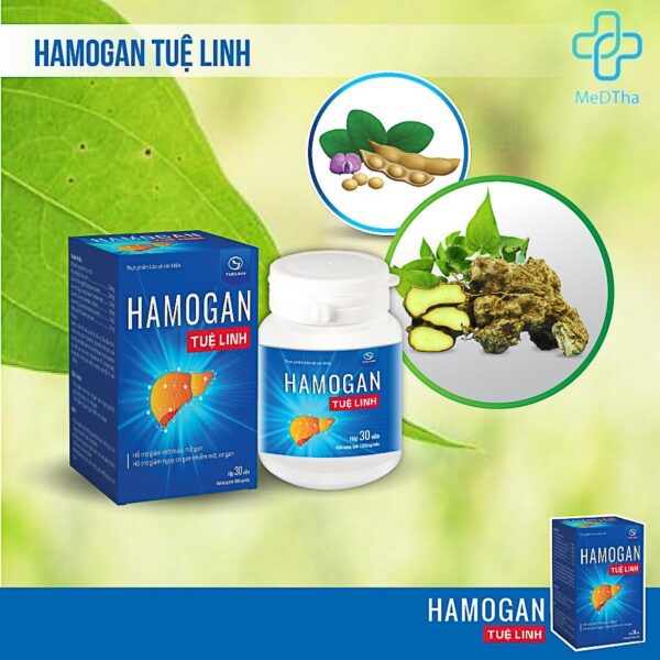 Hamogan Tuệ Linh