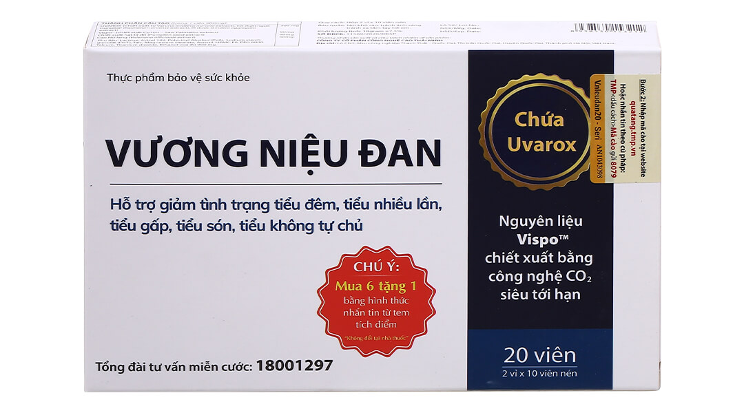 Vương niệu đan