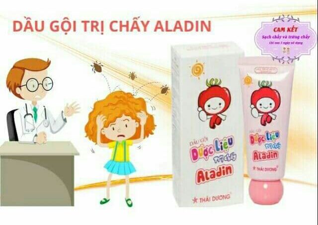 Dầu gội trị chấy Aladin Thái Dương