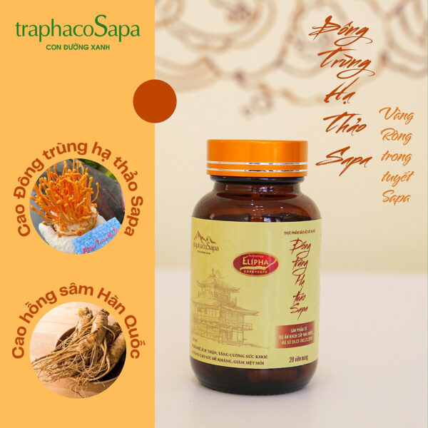 Hình ảnh đông trùng hạ thảo Sapa