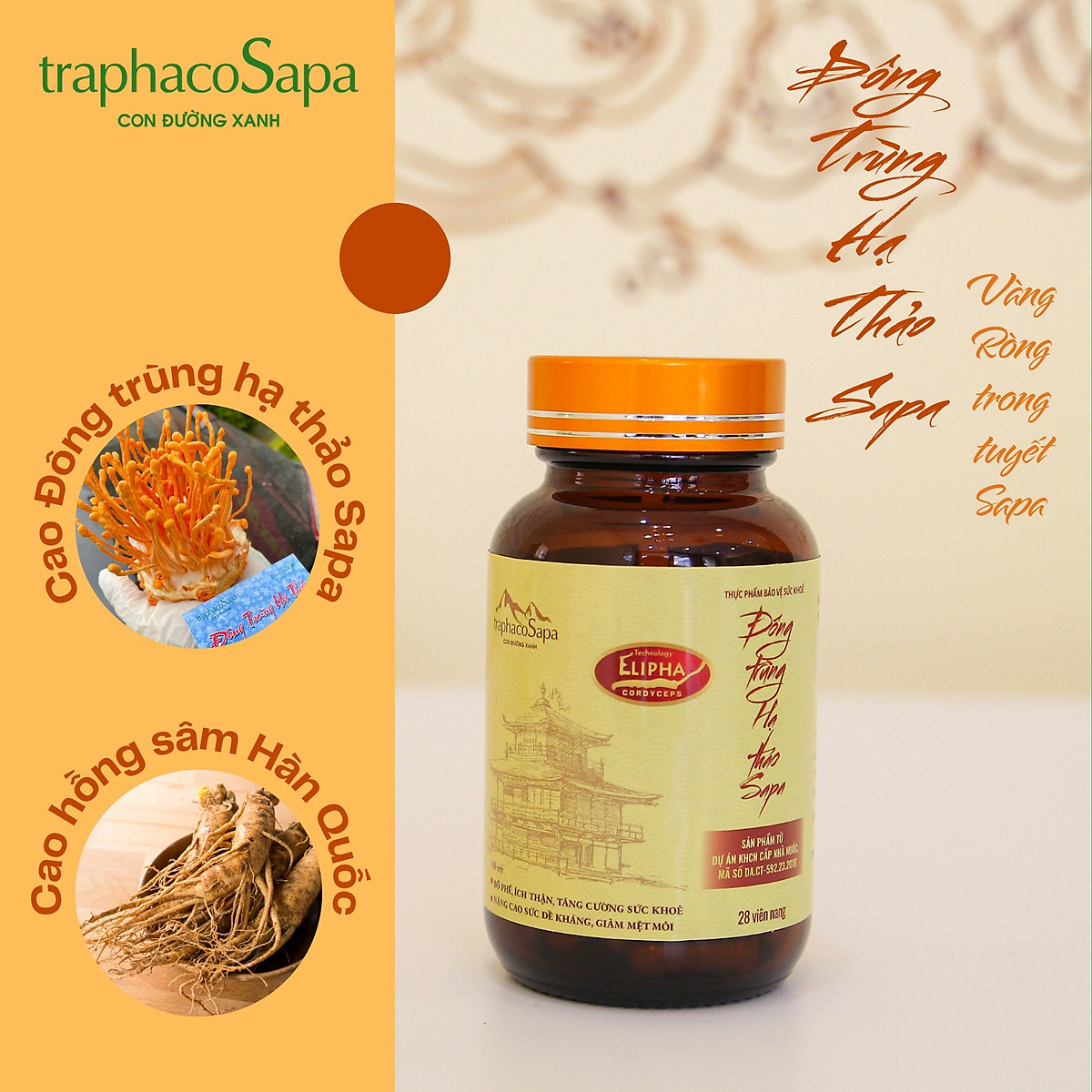 Hình ảnh đông trùng hạ thảo Sapa