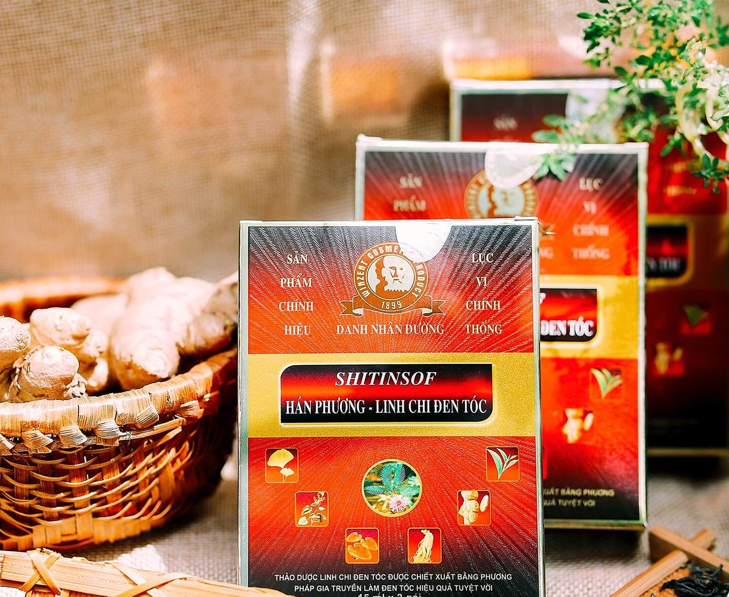 Dầu Gội Đen Tóc Shitinsof Hán Phương - Linh Chi Đen Tóc