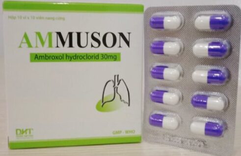 Thuốc Ammuson (Hộp 10 vỉ x 10 viên)
