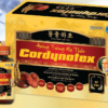 Đông Trùng Hạ Thảo Cordynotex (Hộp 60 Viên)