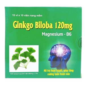 Ginkgo Biloba 120mg Magnesium-B6