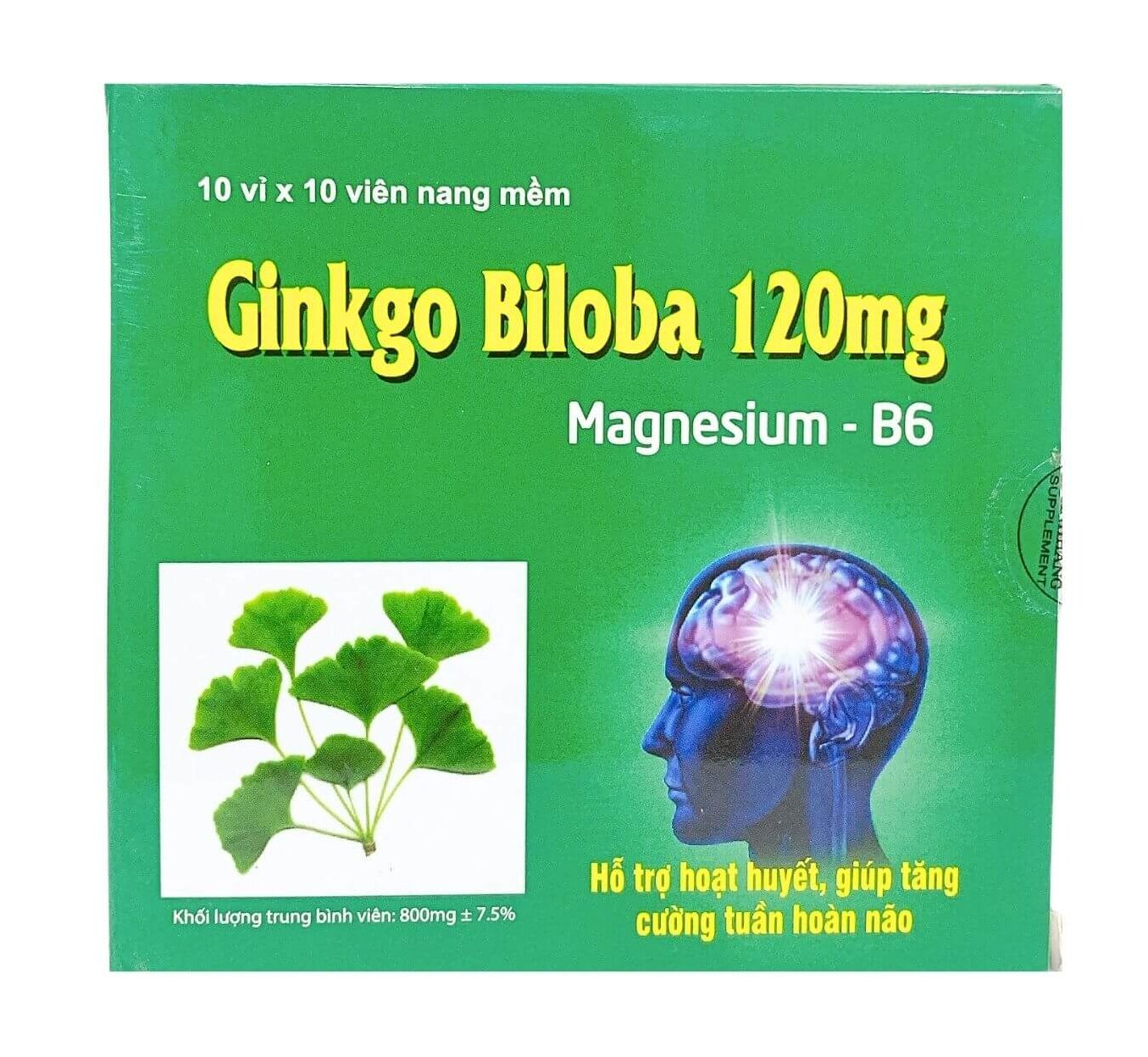 Ginkgo Biloba 120mg Magnesium-B6