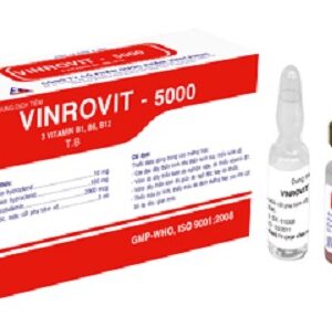 Vinrovit 5000 Vinphaco (4 Lọ + 4 Ống Dung Môi Pha Tiêm)
