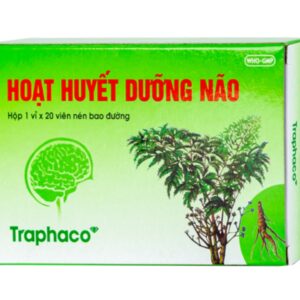 Hoạt Huyết Dưỡng Não Traphaco (5 vỉ x 20 viên)