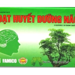 Hoạt Huyết Dưỡng Não Famico