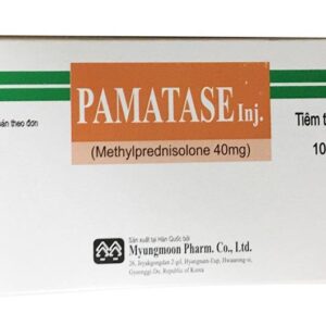 Pamatase INJ (Hộp 10 lọ)