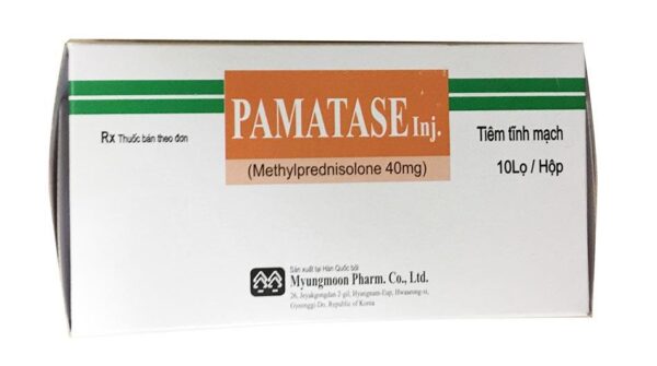 Pamatase INJ (Hộp 10 lọ)