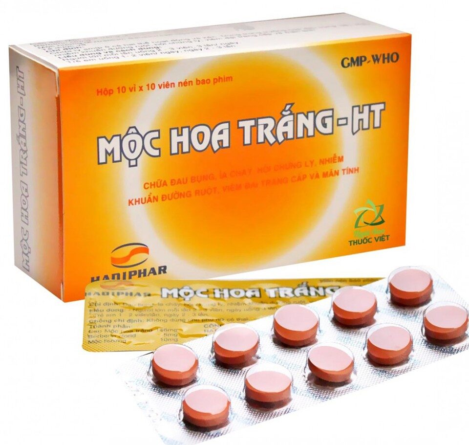 Mộc Hoa Trắng - HT (Hộp 10 vỉ x 10 viên)